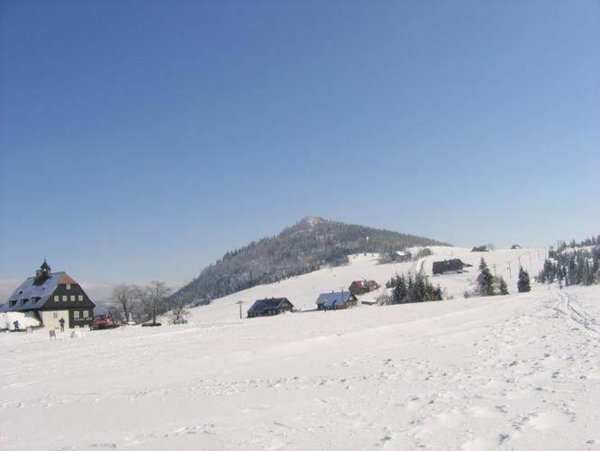 U Brabantika Apartment Desna (Liberec)